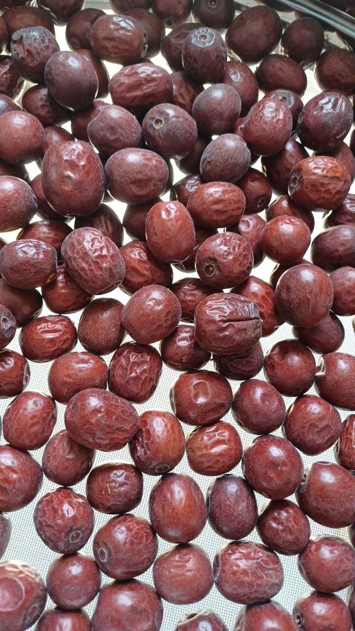 حبه عناب ممتاز و با کیفیت|خوردنی و آشامیدنی|شیراز, دانشگاه شیراز|دیوار