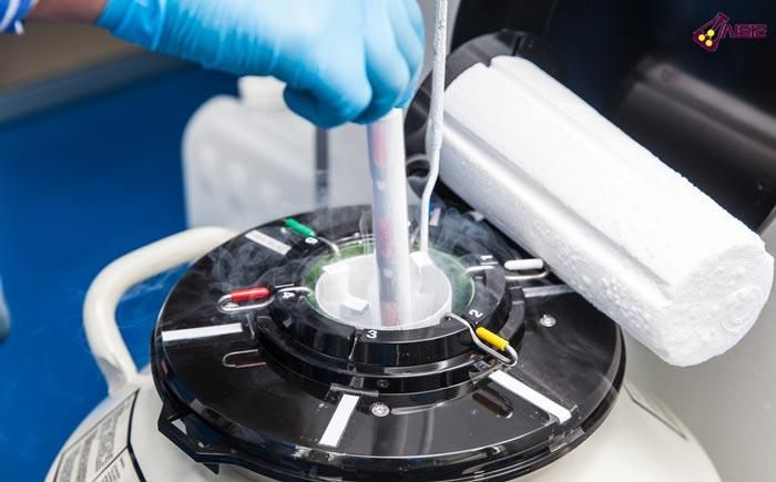 اسپرم گاو و تلیسه|حیوانات مزرعه|مرودشت, فاز اول شهرک فرهنگیان|دیوار