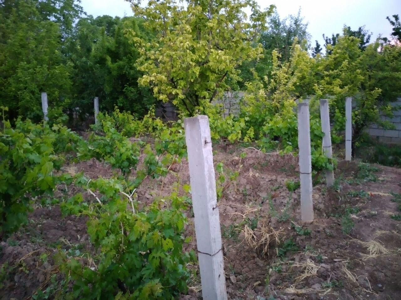 پایه مو، پایه فنس، پُل، ایرانیت و سازه های بتنی|مصالح و تجهیزات ساختمان|اصفهان, تیران|دیوار