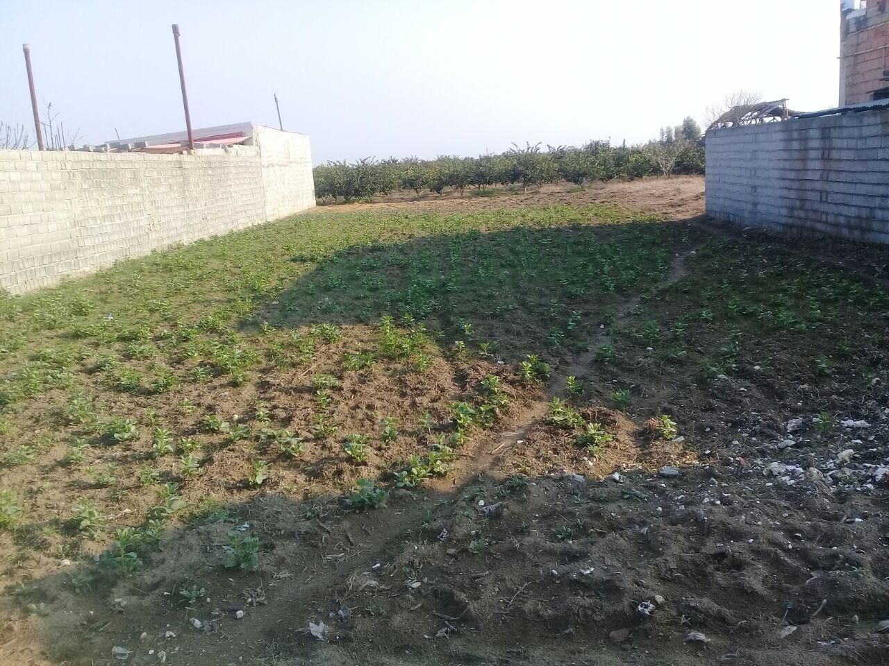 فروش زمین مسکونی تجاری|فروش زمین و ملک کلنگی|طبقده, |دیوار