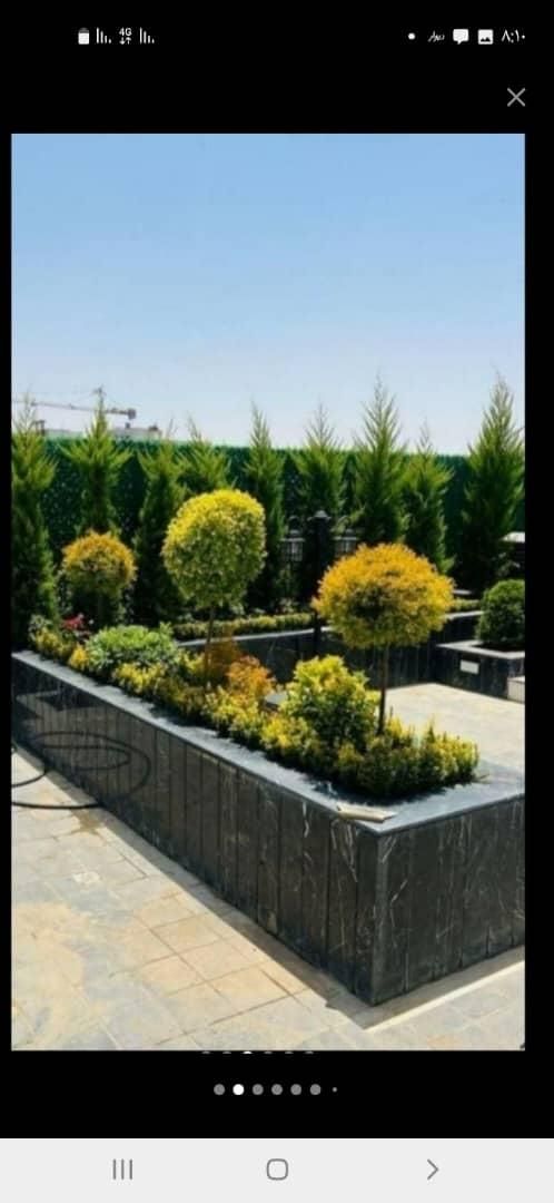 خدمات باغبانی قیمت مناسب از همه جای|خدمات باغبانی و درختکاری|تهران, میدان ولیعصر|دیوار
