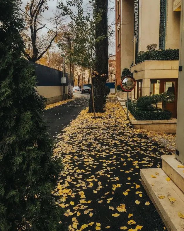 ۵۰۰ متر / یک بارگاه تمام عیار/ اصیل نشین فرهنگ شهر|فروش خانه و ویلا|شیراز, فرهنگ شهر|دیوار
