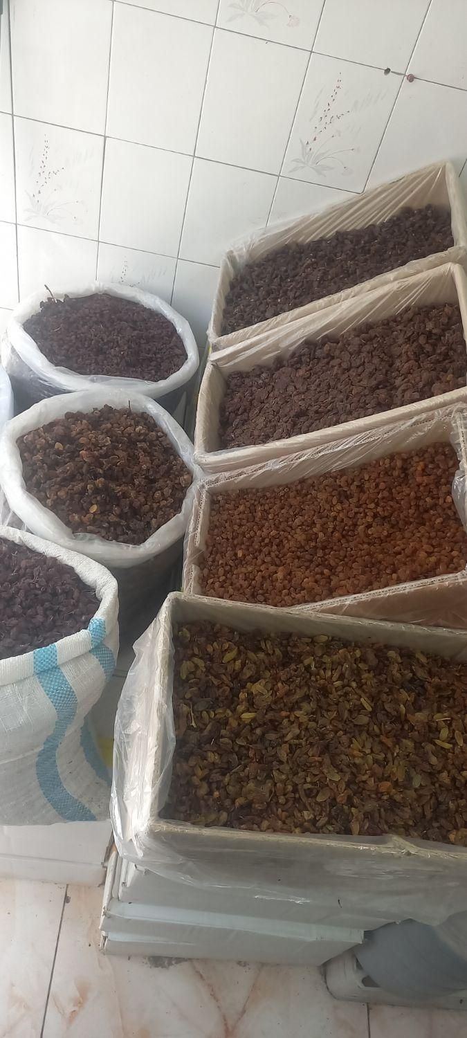 کشمش دیم|خوردنی و آشامیدنی|ارومیه, |دیوار