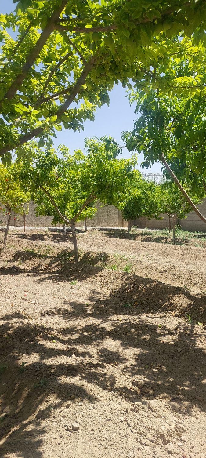 فروش باغ ۵۰۰ متر منطقه باغی قهجاورستان|فروش خانه و ویلا|اصفهان, قلعه نو|دیوار