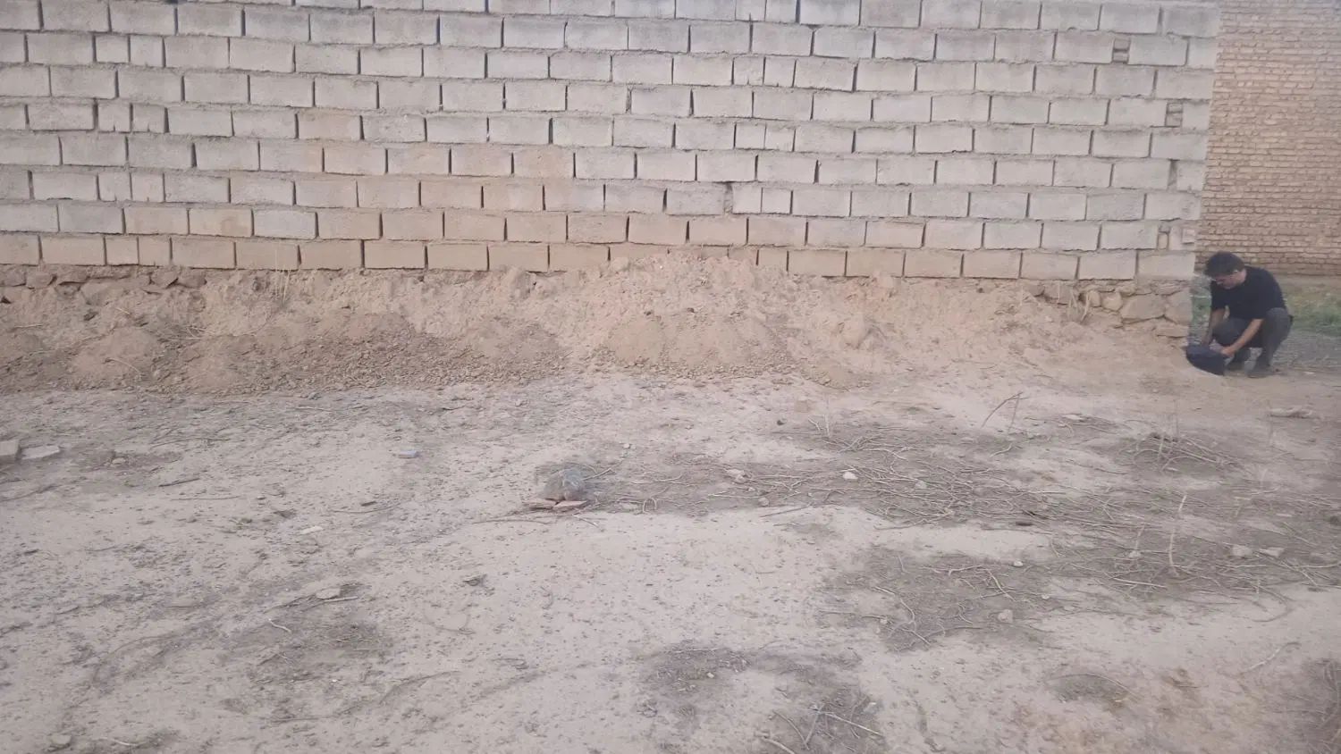 320متر زمین در روستای حصار جوق فروش و معاوضه|فروش زمین و ملک کلنگی|نیشابور, مازول|دیوار