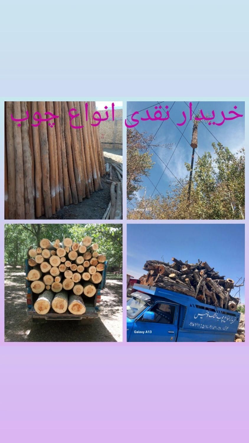 خریدار انواع چوب تر وخشک تیرکهنه سقفی ساختمان|عمده‌فروشی|همدان, |دیوار