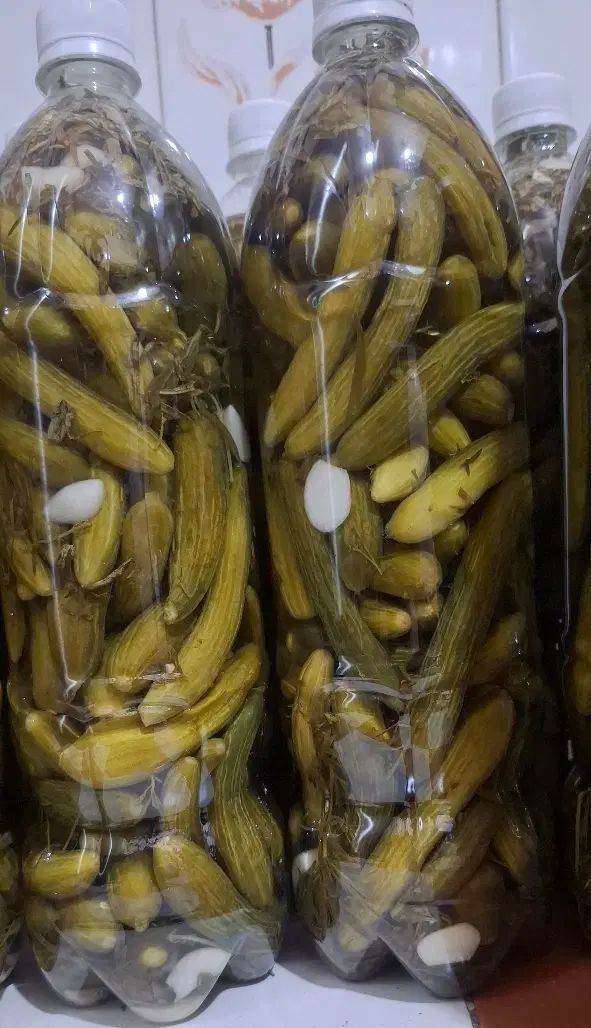 خیارشور خانگی|خوردنی و آشامیدنی|اصفهان, عطار نیشابوری|دیوار