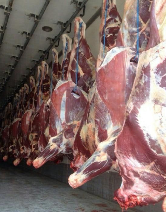 گوشت گوساله نر|خوردنی و آشامیدنی|یزد, |دیوار