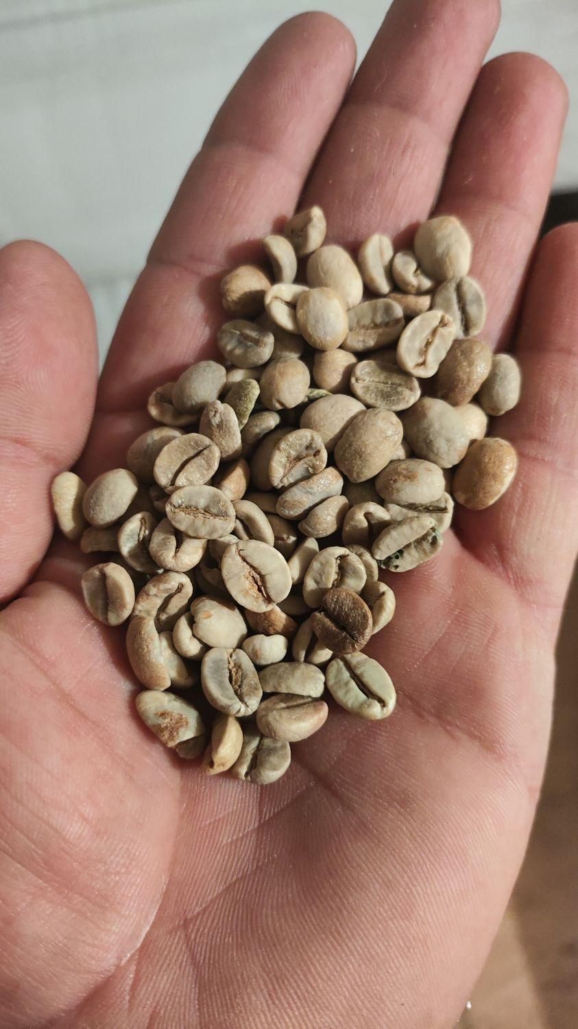 فروشگاه قهوه مارزاکو مرودشت|عمدهفروشی|مرودشت, ابوذر جنوبی|دیوار