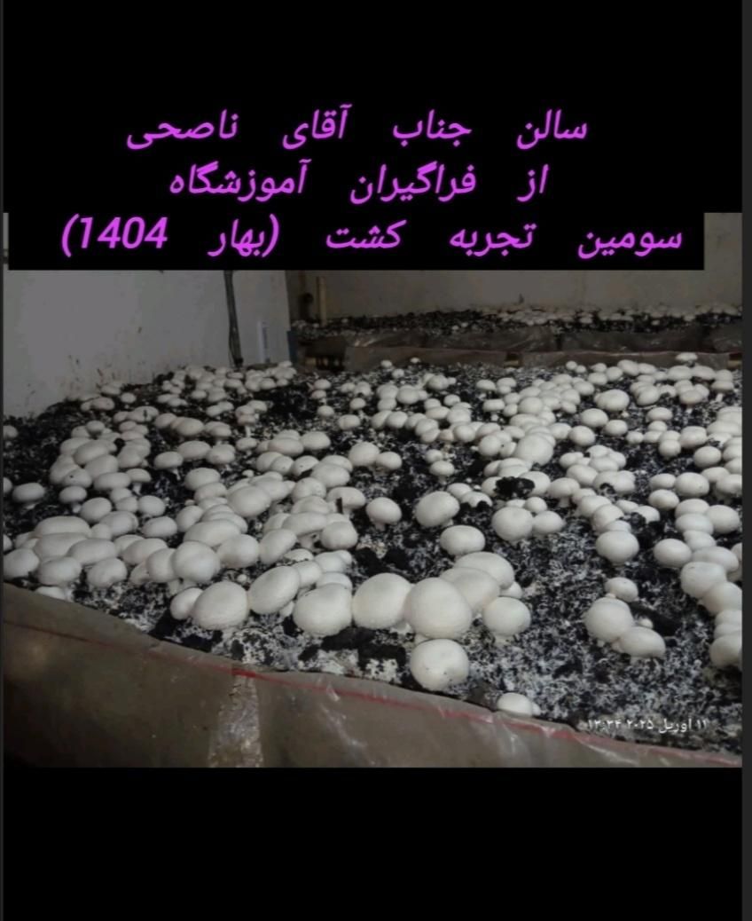 دوره پرورش قارچهای خوراکی با پشتیبانی فراگیر|خدمات آموزشی|نجف‌آباد, کشاورز|دیوار