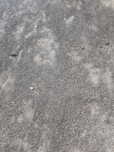 ورمی کمپوست بهترین کود برای درخت گل|خدمات باغبانی و درختکاری|قم, انصار‌الحسین|دیوار