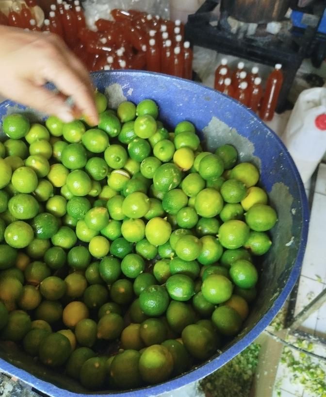 ابلیمو ابغوره خالص و طبیعی  رب گوجه عمده|خوردنی و آشامیدنی|کرج, مهرویلا جنوبی|دیوار