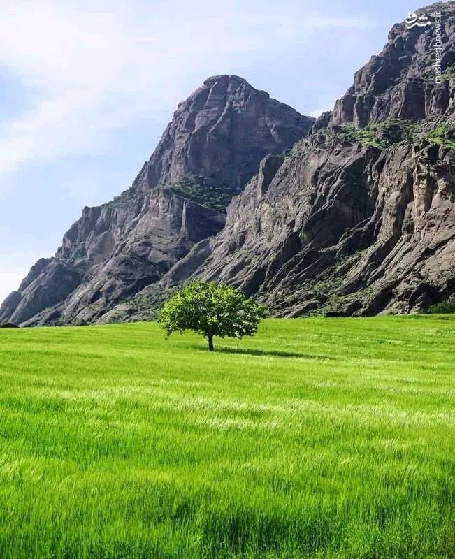 راهنمایی میخوام در مورد سفر یکروزه به شمال|فعالیت داوطلبانه|کرج, شاهین‌ویلا|دیوار