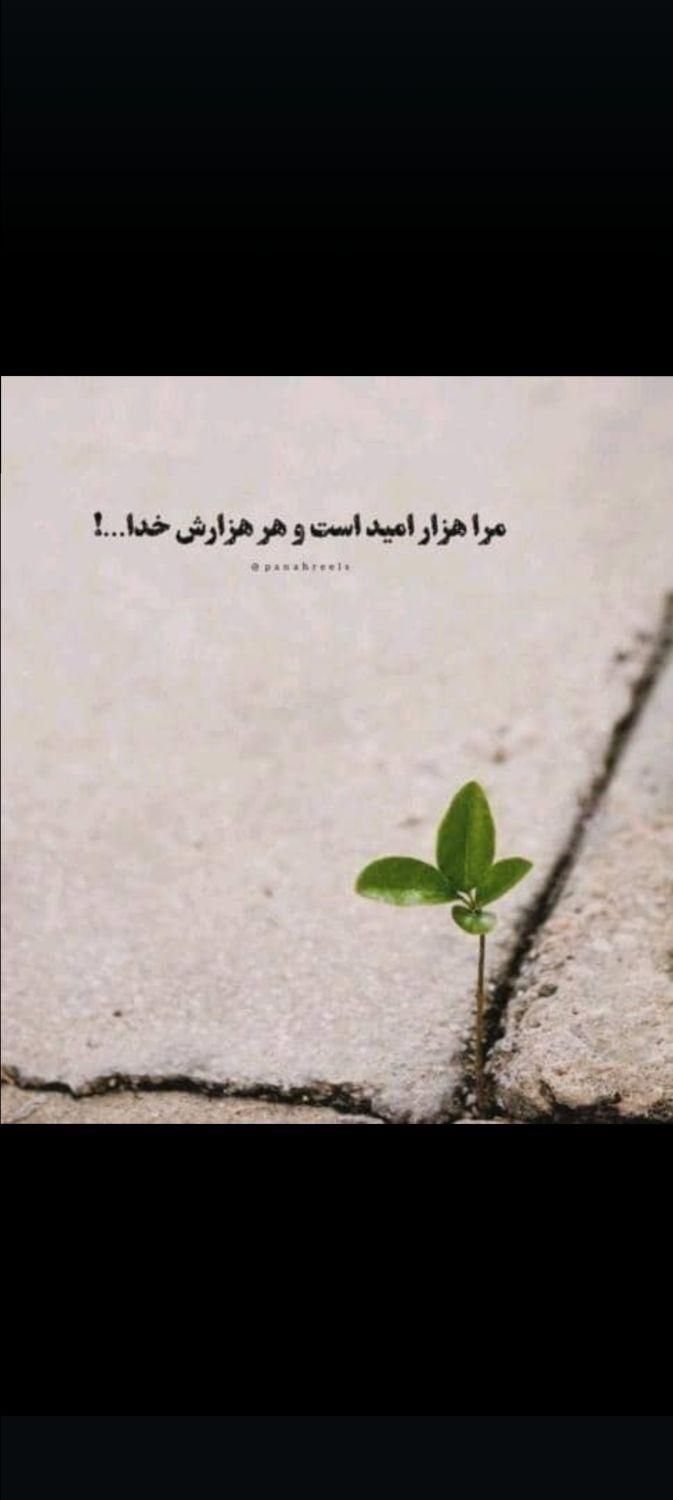 خ ر یدار وام ازدواجی|خدمات مالی، حسابداری، بیمه|شوشتر, |دیوار