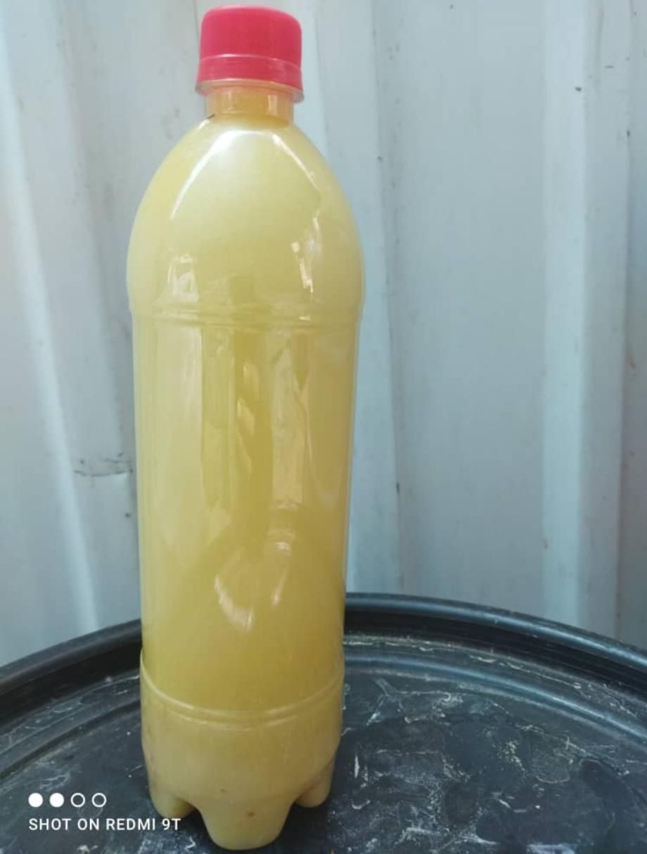 فروش تناژ بالا ابلیمو ابغوره|خوردنی و آشامیدنی|شیراز, شهرک کوثر|دیوار