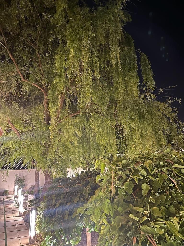 باغ ۱۰۰۰متری/ویلا قابل سکونت/شهرکی/خیابان ایرانمهر|فروش خانه و ویلا|محمدشهر, همایون ویلا|دیوار