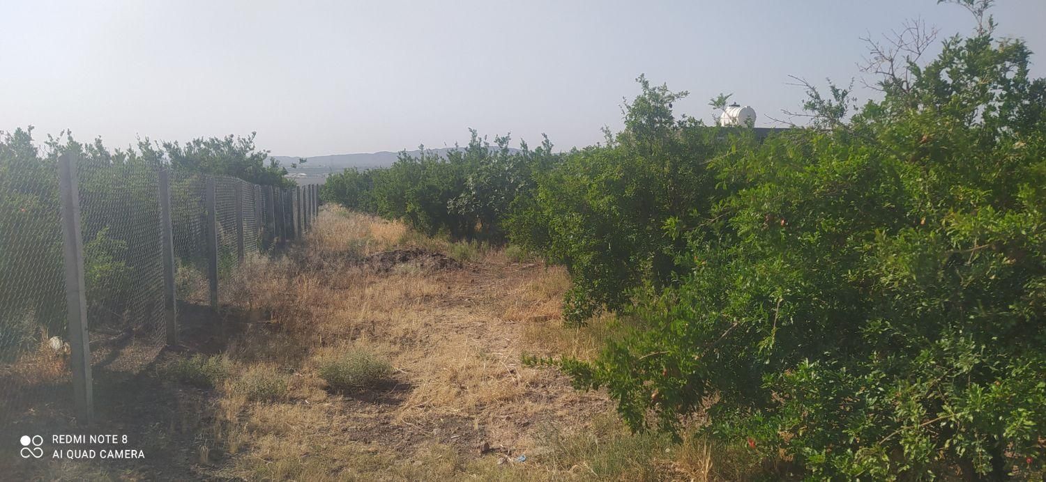 باغ در روستای اندیس|فروش خانه و ویلا|قم, ولیعصر|دیوار