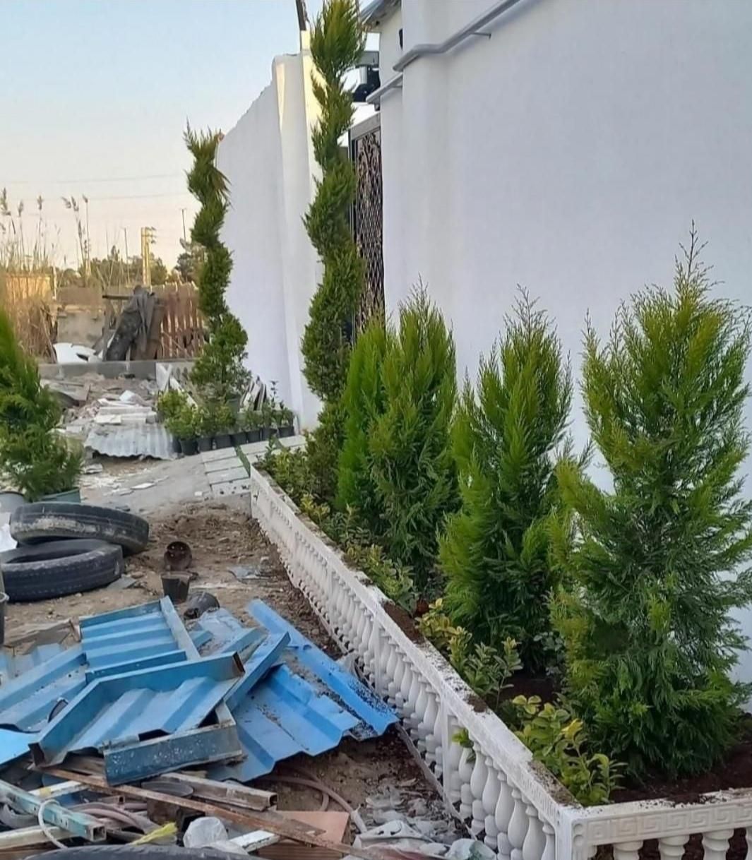 خدمات باغبانی تمام نقاط تهران گل کاری هرس خاکگلدان|خدمات باغبانی و درختکاری|تهران, نیروی هوایی (پیروزی)|دیوار