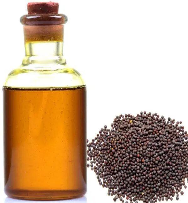 راهنمایی بانوان با روش های اصولی و ایمن|فعالیت داوطلبانه|رشت, فلسطین|دیوار