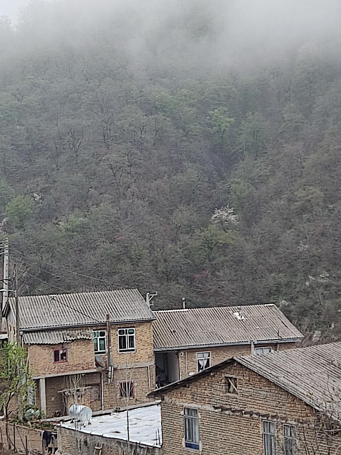 ویلا 95متری هم کف ویو عالی|اجارهٔ کوتاه‌مدت آپارتمان و سوئیت|مینودشت, |دیوار