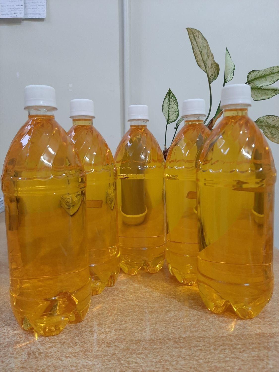 روغن کنجد خالص با تضمین برگه آنالیز آزمایش و عودت|خوردنی و آشامیدنی|مشهد, آزادشهر|دیوار