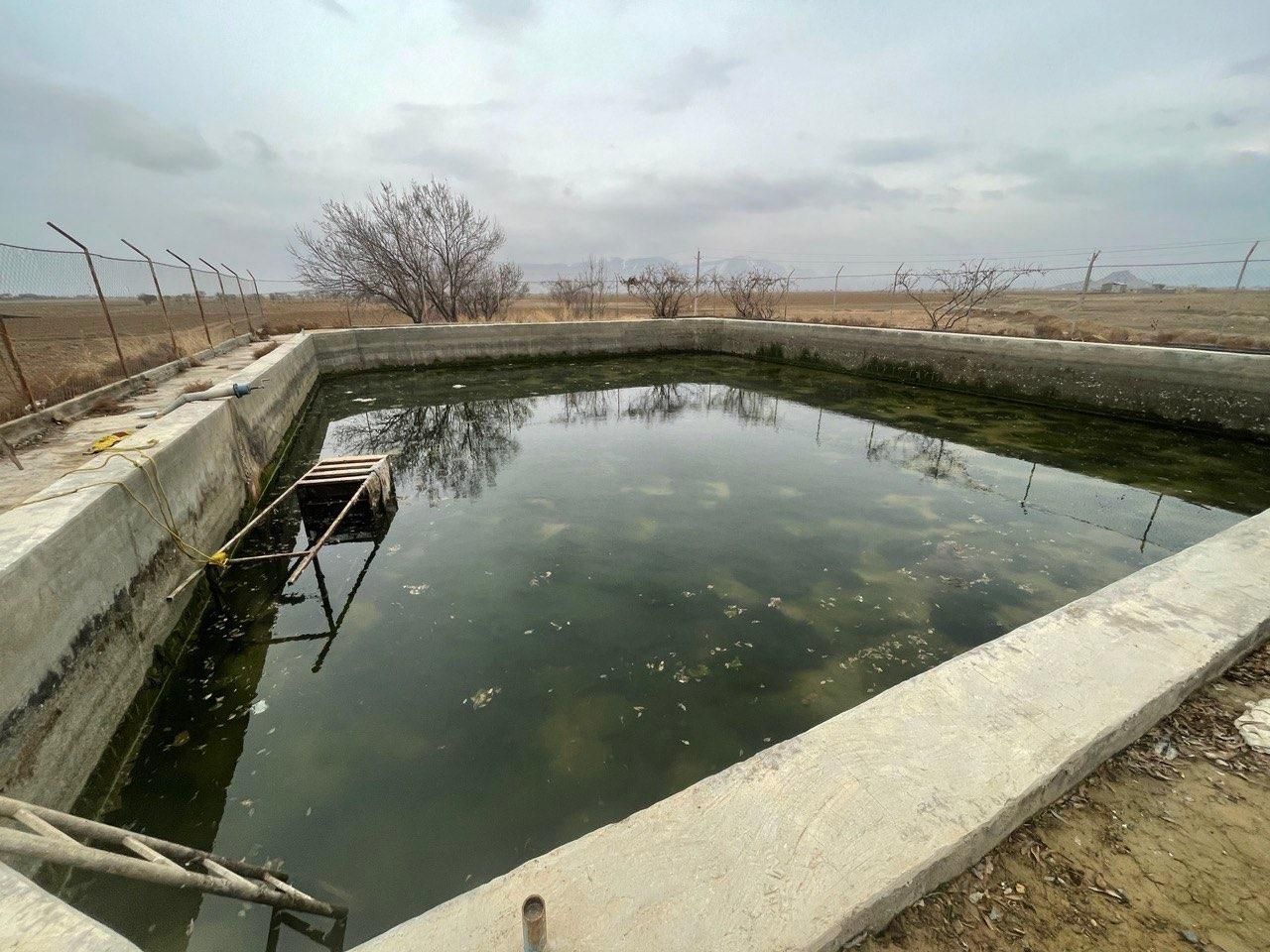 ۱۵ هکتار جاده تهران سند تک برگ با ۴ اینچ آب|فروش زمین و ملک کلنگی|معصومیه, |دیوار