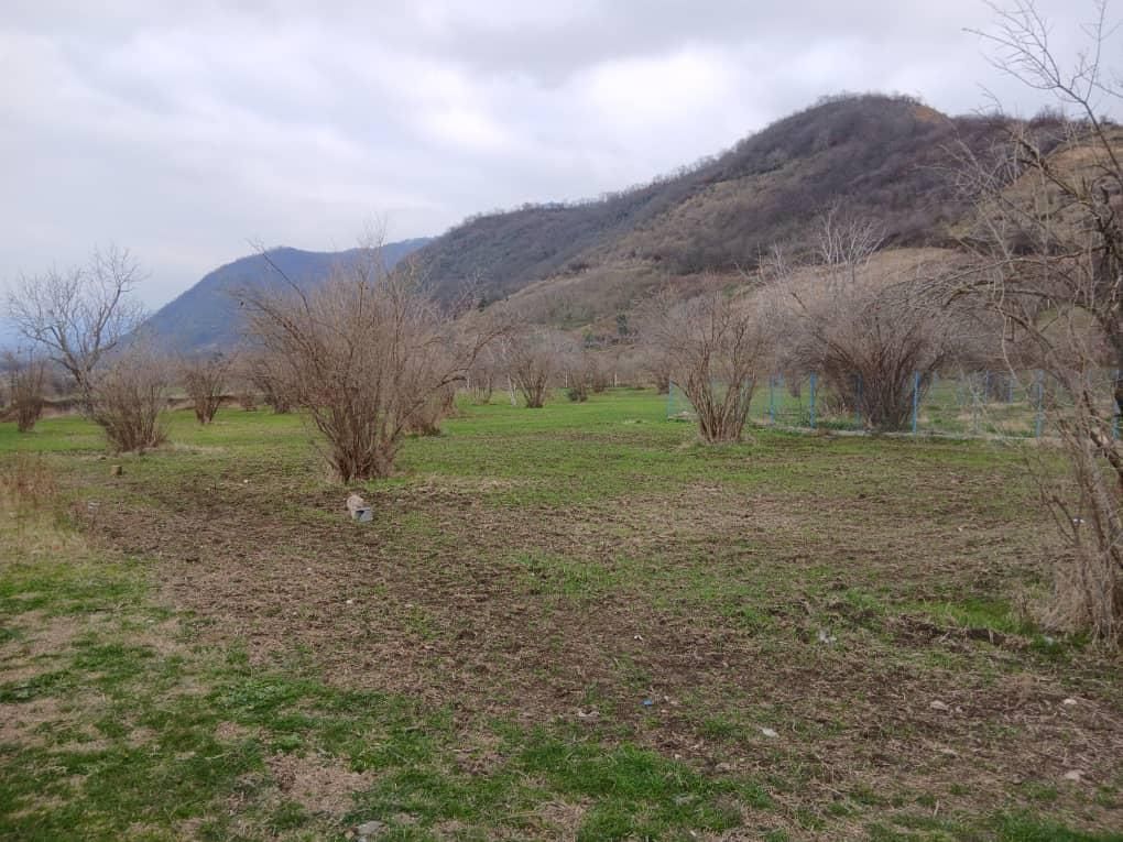 مازندران .گلوگاه جاده بردنا سایت پرواز|فروش زمین و ملک کلنگی|سرخه حصار, |دیوار