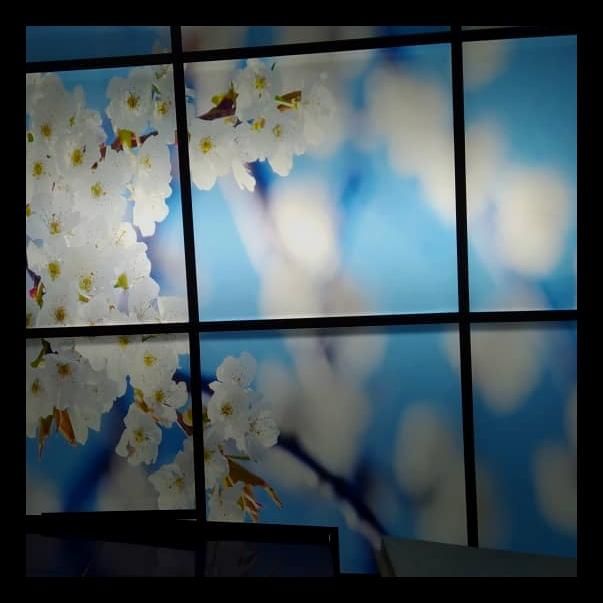 نصاب سقف کاذب کناف سقف۶۰*۶۰نصب ماربل شیت دیوارپوش|خدمات پیشه و مهارت|تهران, گلستان (شهرک راه آهن)|دیوار