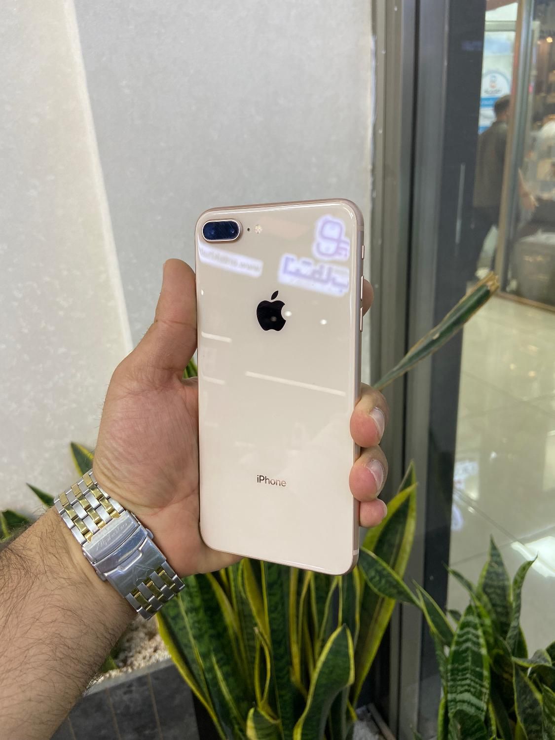 اپل ایفون iPhone 8پلاس ۲۵۶‌ گلد خوشمزه و استثنایی|موبایل|اصفهان, احمدآباد|دیوار