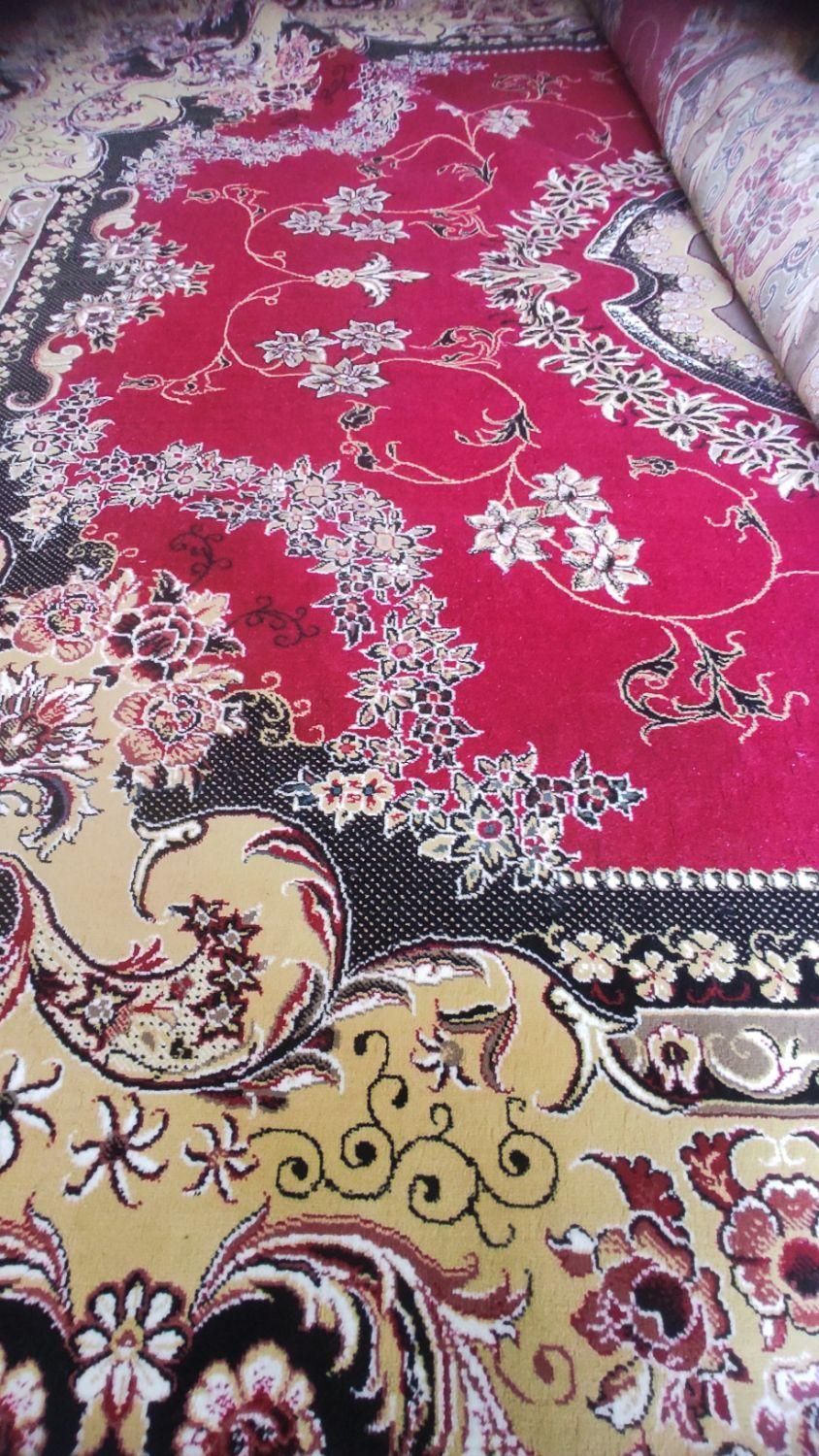 فرش ۳در ۴|گلیم، جاجیم، گبه|سلماس, |دیوار