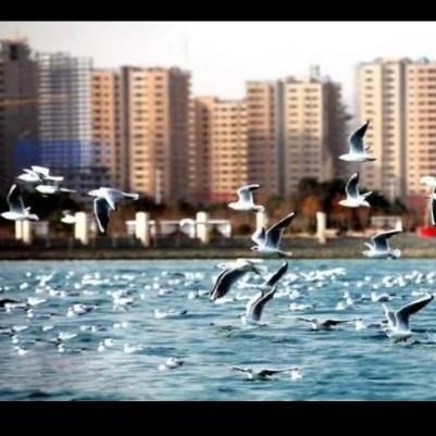 فروش واحد۱۰۸متر/عمارتی دردل منطقه گردشگری دریاچه|فروش آپارتمان|تهران, دریاچه شهدای خلیج فارس|دیوار