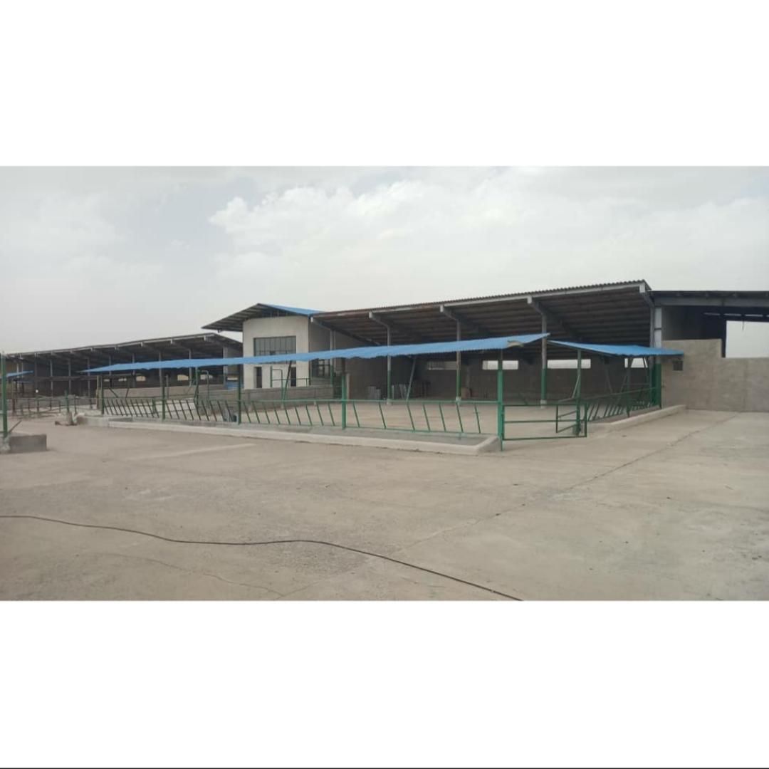 گاوداری ۵۰ راسی تمام صنعتی در شهرک دامگستر فشافویه|فروش دفتر صنعتی، کشاورزی، تجاری|کهریزک, |دیوار