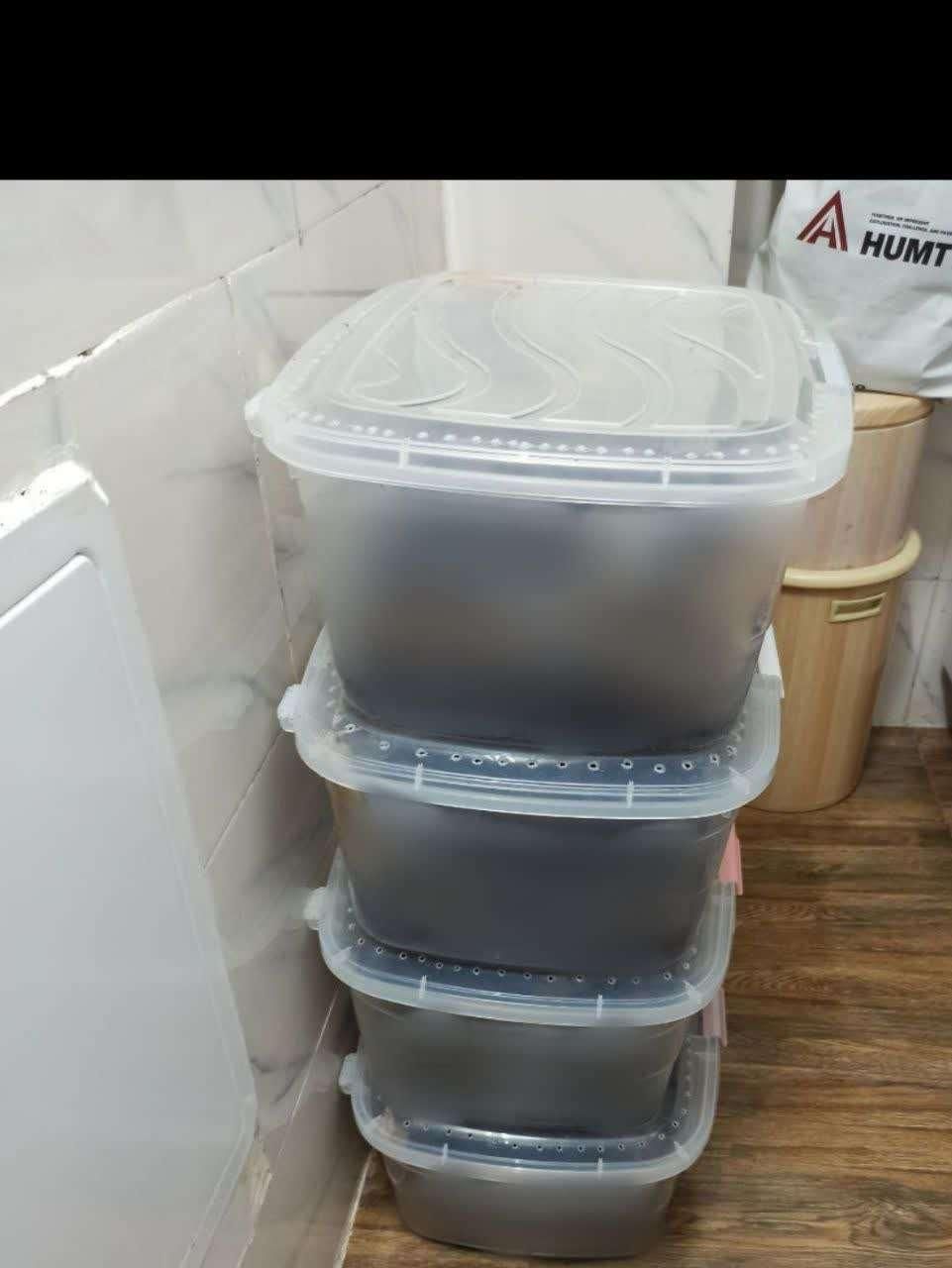 دنبال کسب کار شغل خانگی کار در منزل کاردرمنزل|استخدام درمانی، زیبایی، بهداشتی|گرگان, |دیوار