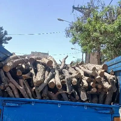 چوب خشک برای منقل وتفریح|کوهنوردی و کمپینگ|تربت جام, فاز ۱ فرهنگیان|دیوار