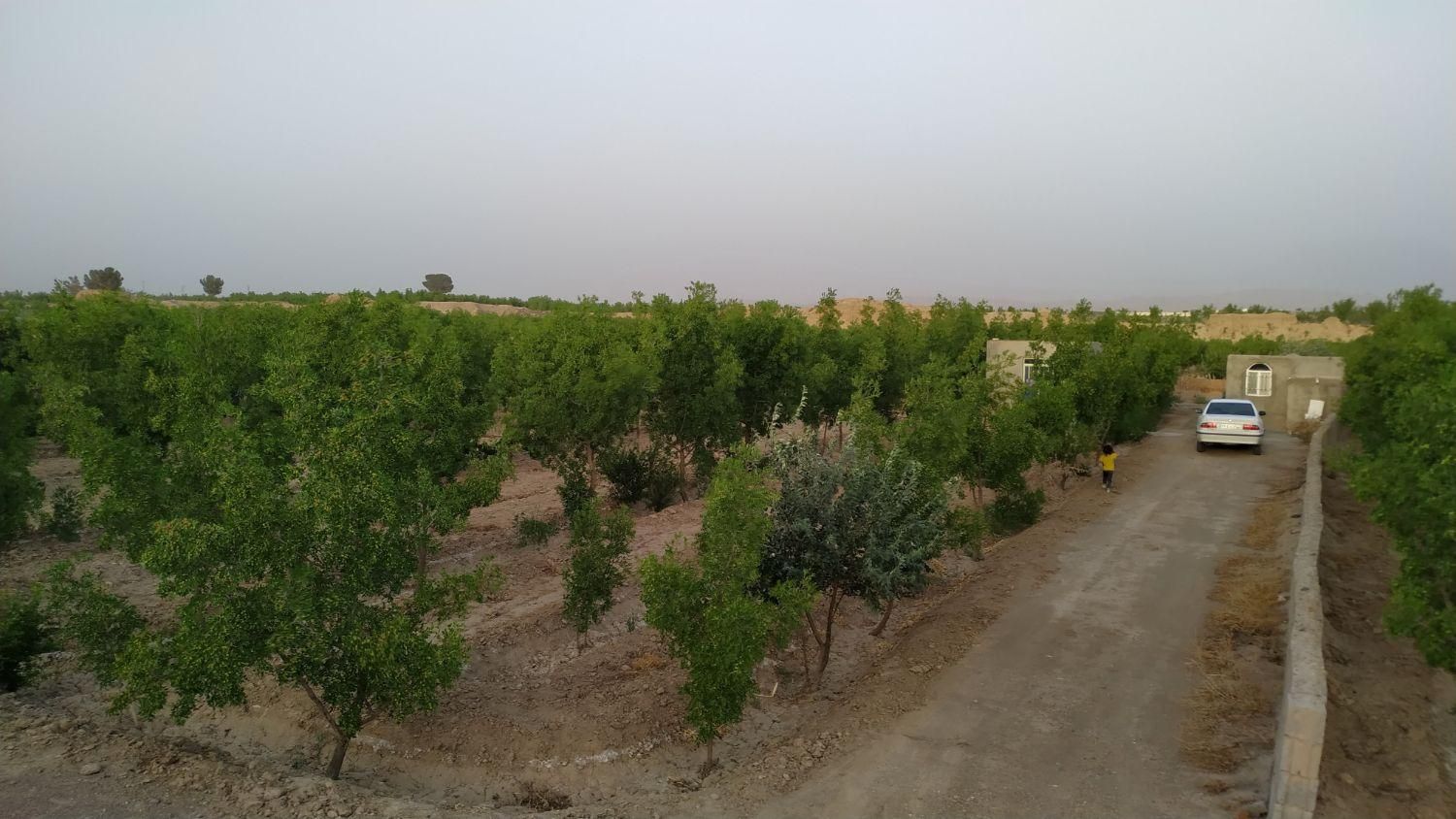 تصویر 7