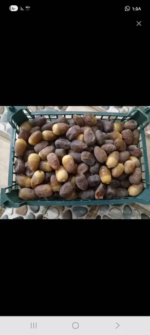 رطب ، خرما درجه یک دست چین|خوردنی و آشامیدنی|تهران, شکوفه (عبدل آباد)|دیوار