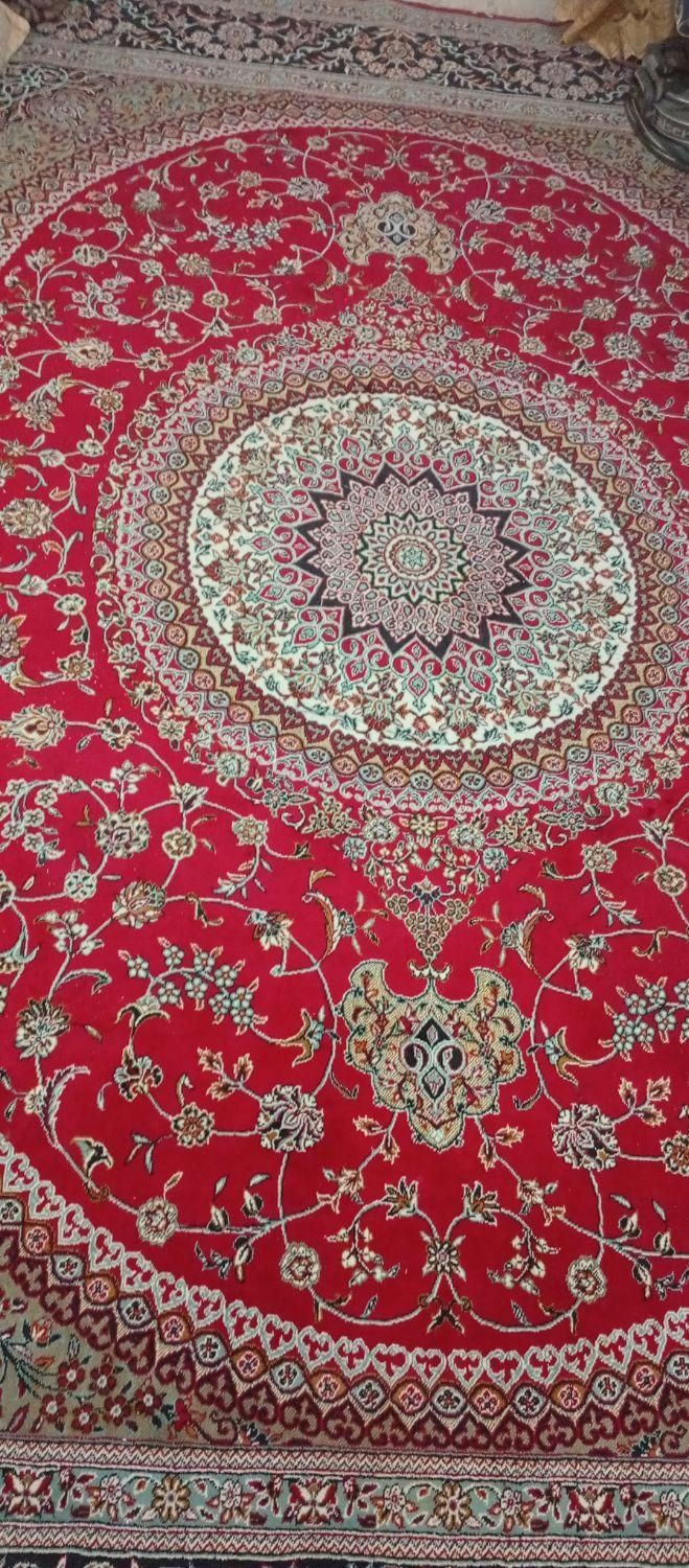 قالی جنس ناب|فرش|کرمان, |دیوار