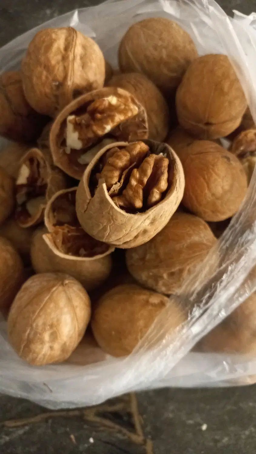 گردو خرده و عمده|خوردنی و آشامیدنی|تهران, نازی‌آباد|دیوار