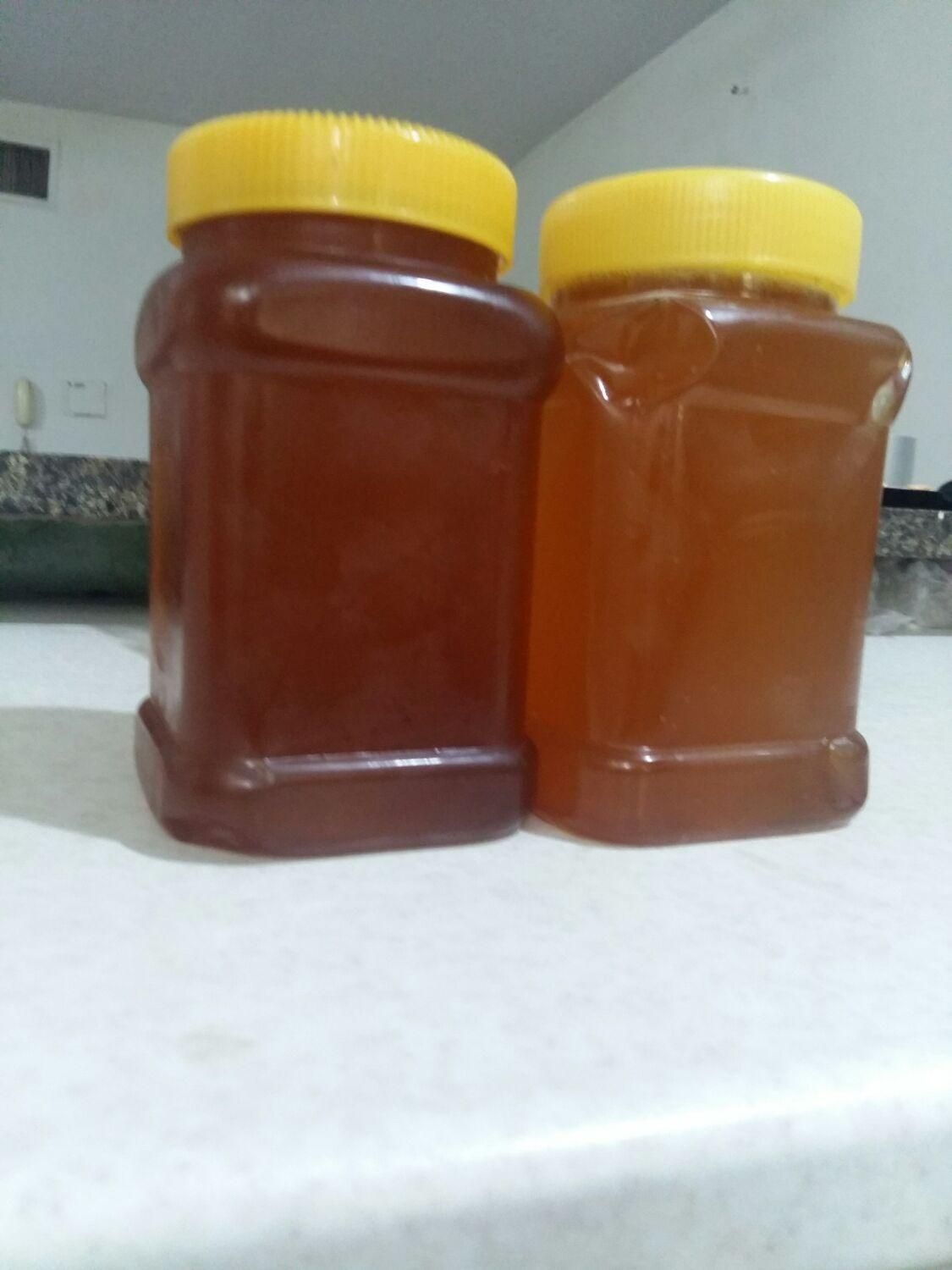 عسل طبیعی کوه سبلان|خوردنی و آشامیدنی|تهران, شهرک مسلمین|دیوار