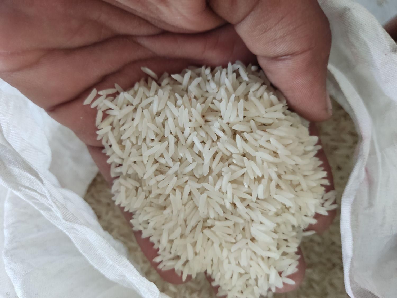 برنج هاشمی|خوردنی و آشامیدنی|قم, بنیاد|دیوار