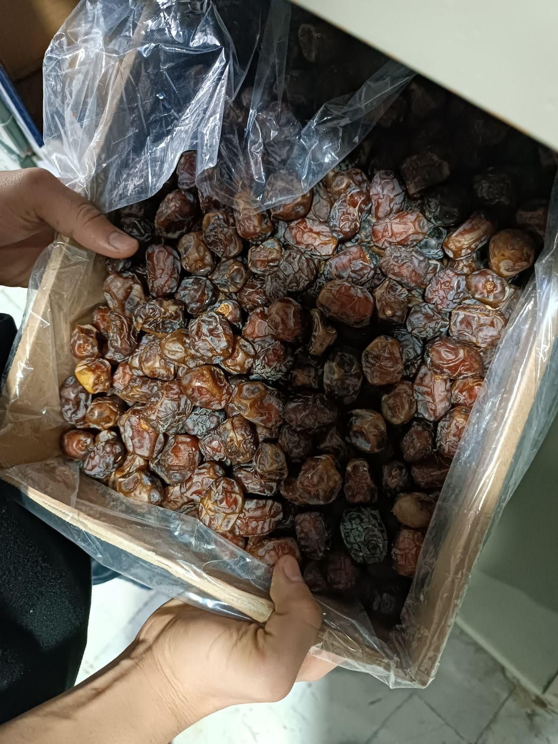 خرما|خوردنی و آشامیدنی|مشهد, جلالیه|دیوار