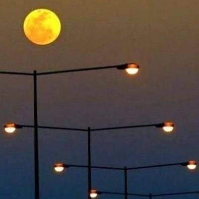 نیازمند خانه|اجارهٔ آپارتمان|سقز, |دیوار
