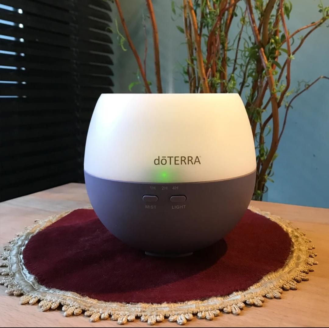 فروش ۱۰۰ عدد دستگاه بخورdoterra یکجا|پنکه و تصفیه‌کنندهٔ هوا|تهران, آرژانتین|دیوار