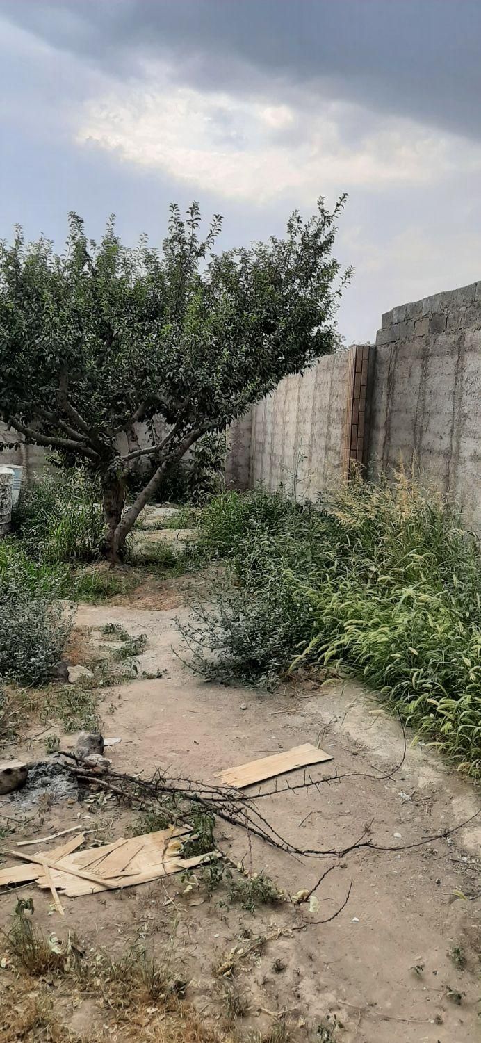 ویلاباغ/باغچه ۲۵۰متر کاج باغستان شهرقدس بنادار|فروش زمین و ملک کلنگی|قدس, شهرک صنعتی زاگرس|دیوار