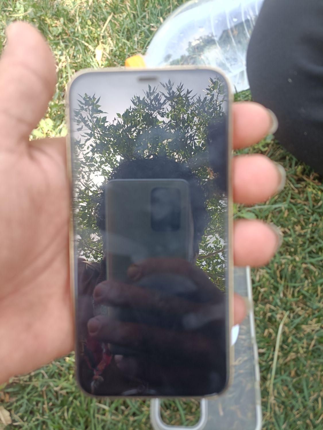 اپل iPhone 12 Pro با حافظهٔ ۲۵۶ گیگابایت|موبایل|رفسنجان, |دیوار