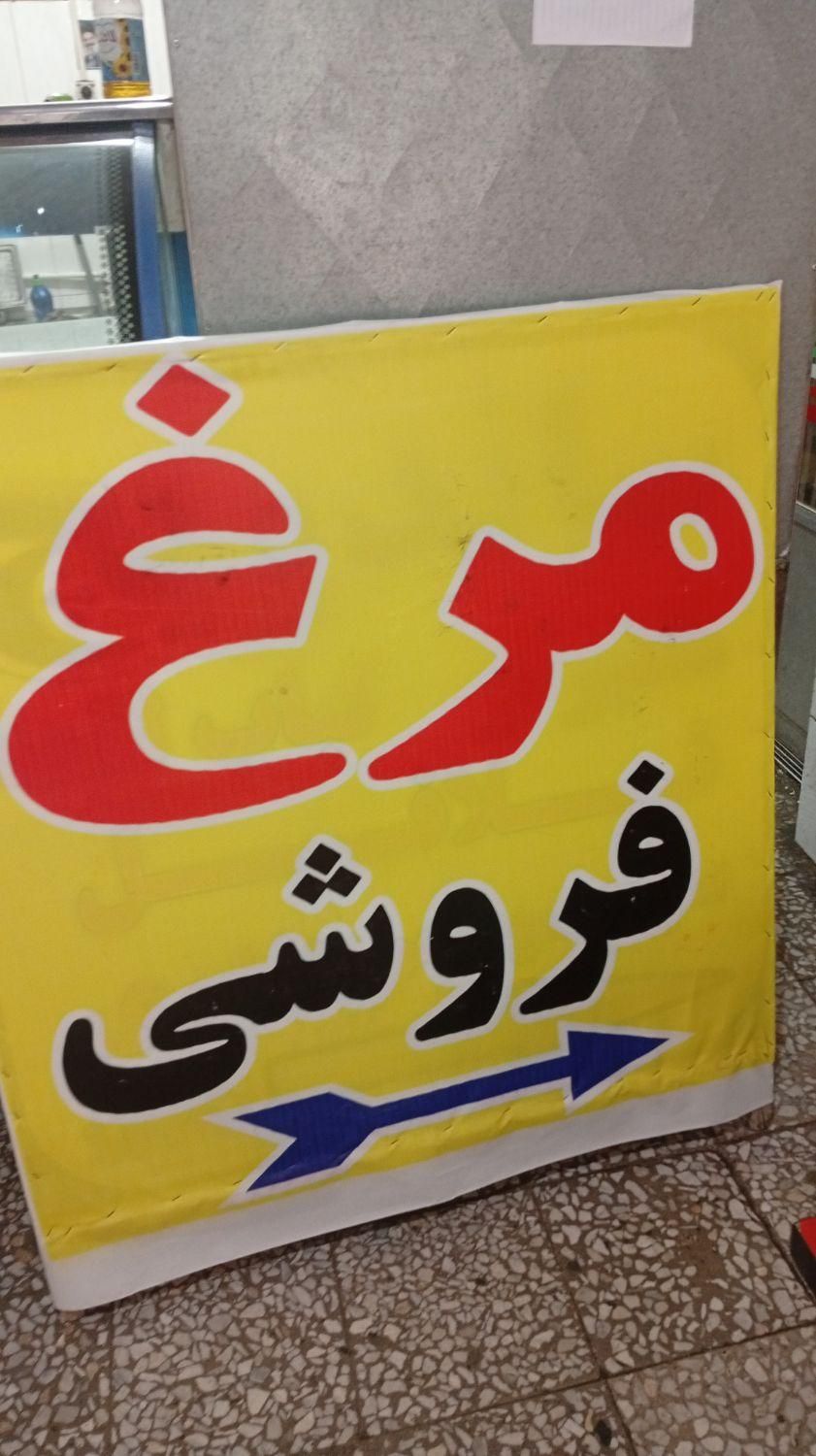 مرغ فروش روبه روی آژانس بهمن در لوشان|حیوانات مزرعه|لوشان, |دیوار