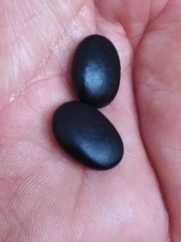 مهره اصل ضمانتی|جواهرات|رامهرمز, |دیوار