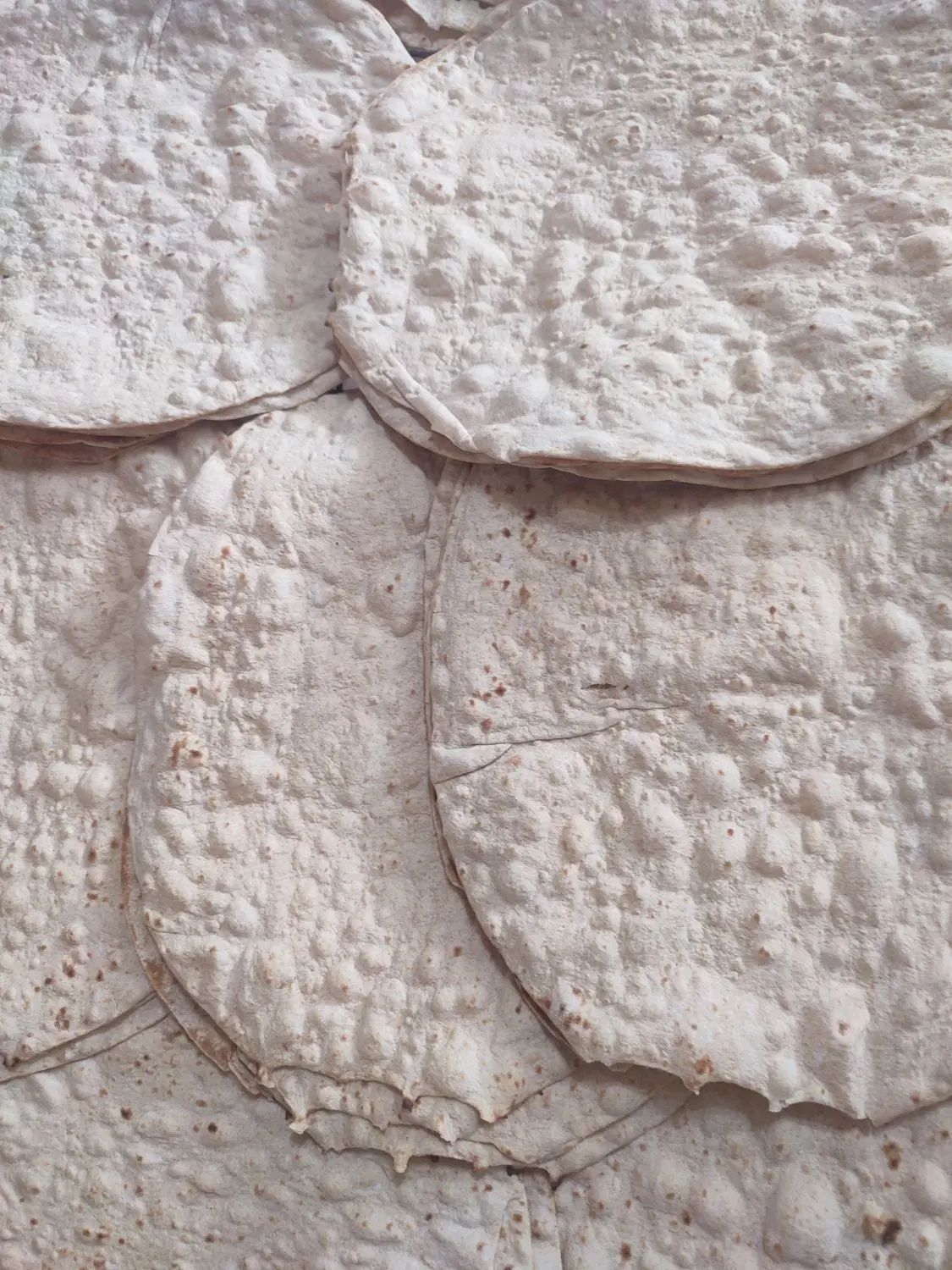نان کامل|خوردنی و آشامیدنی|رشت, شهریاران|دیوار