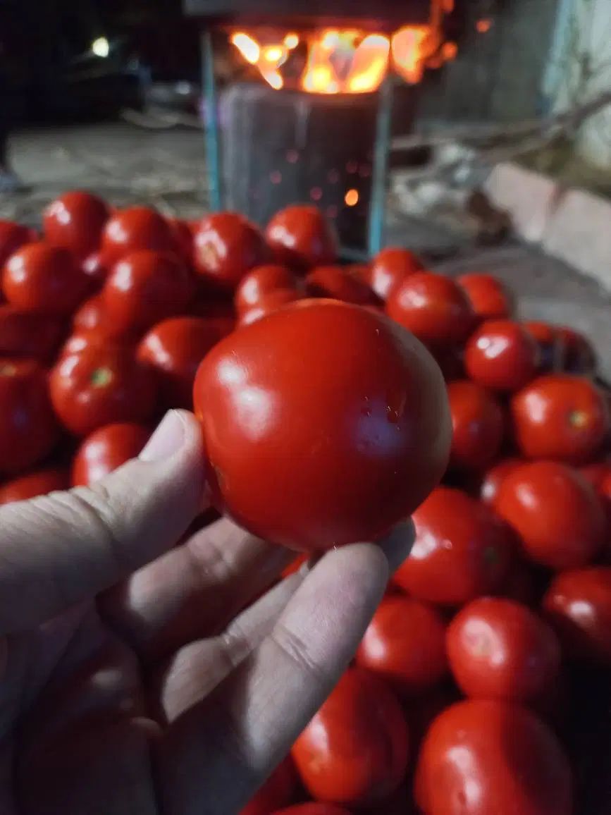 رب خانگی|خوردنی و آشامیدنی|تهران, جمال‌زاده|دیوار