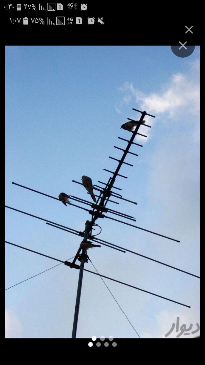 نصب و تنظیم آنتن و سیستم دیجیتال تضمینی|خدمات پیشه و مهارت|تهران, مهرآباد جنوبی|دیوار